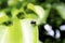 A green flies perching on a leaf with a bokeh image as the background