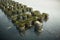 green floating community, with schools, hospitals and homes built on water