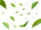 Green Floating Leaves Flying Leaves Green Leaf Dancing, Air Purifier Atmosphere Simple Main Picture