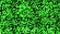 Green floating pixels background loop. Slow chaotic square mosaic seamless animation. Elegant calm aesthetic backdrop footage