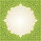 Green Floral Easter Decorative ornate pattern wallpaper vector repeatable design backround