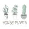 Green floral house plants illustration set. Outline home flowers in pots in line art anf flat  style isolated on white background