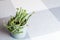 Green flower, Crassula Nealeana, rare succulent plant in a grey pot, copyspace