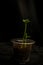 green flower plant leaf light darkness painting yellow lighting art reflection tree glass night produce branch wall