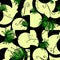 Green flowers on a background with abstract figures of light green and black colore