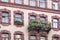 Green flowers on balcony on fashionable facade of old european building.