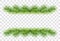Green fluffy pine branches for christmas garland decoration isolated on transparent background