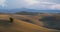 A green fluffy tree in the middle of velvet freshly plowed Tuscan hills with a forest and a mountain in the background