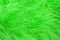 Green fluffy wool texture, animal wool background, painted fur texture closeup