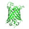 Green fluorescent protein model