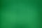 Green foam texture background. Blank rubber structure