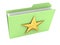 Green Folder with paper and texas star