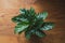 Green foliage on a table