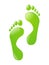 Green foot steps - ecological footprint