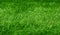 Green football field grass background