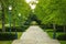 Green footpath of trees outdoor