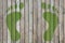 Green footprints with the texture of a tree leaf on the plank floor, a place for your text. Concept: cutting down trees, environme