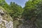 Green forest around Erma River Gorge