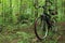 Green forest bike in the foreground