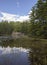 Green forest and blue sky reflected in a pond