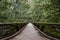 Green forest bridge walkway