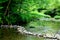 Green forest creek with rock dam and crisp mountain water