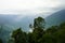 Green forest at East Sikkim Mountain Range