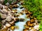 The green forest, limpid stream on the rocks