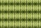 Green Forest Matrix. Beautiful Nature Pattern Background