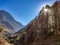 Green forest in the morning. Trekking trail of Manaslu Conservation Area in Nepal. yellow trees.