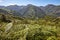 Green forest mountain landscape in Asturias. Tourism in Spain