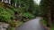 Green forest path on Mount Floyen, near the troll forest, Bergen, Norway