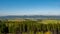 Green forest of pine tree and mountain landscape. Giant Mountains, Karkonosze, Sudets/Sudety, Poland.