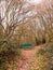 green forest public bench empty solitude tree arch autumn winter