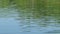 Green forest reflection in river water