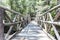 Green forest. rustic bridge, Mazamitla