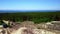 Green forest and sand coast with wooden paths and observation deck is filmed from above by drone