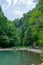 Green forest on the shore of a mountain river with turquoise wate with cliffs on a clear summer day