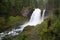 Green Forest Spring Flow McKenzie River Sahalie Falls