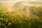 Green forest with sun rays view from above. Beautiful woodland in warm summer morning.