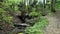 Green forest in Switzerland. A small bridge in the Swiss woods across the river. Camera movement forward brings to the fore the br