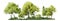 Green forest or tree side view isolated