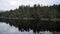 Green forest with trees and lake Matheson with incredible views