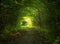 Green forest tunnel