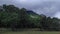 Green forest under mountain in Timor-Leste