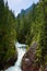 Green forest waterfall stream water Tatra mountains Carpathians