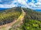 Green forested mountain with ski slopes