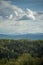 Green Forests in Spring with Mountains and Clouds