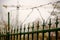 Green forged iron fence with barbed wire