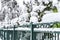 Green forged metal fence covered with snow. Winter landscape